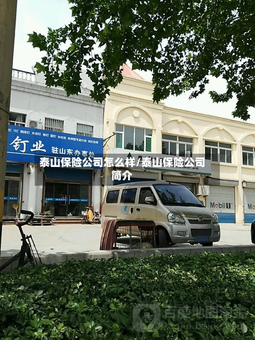 泰山保险公司怎么样/泰山保险公司简介-第2张图片