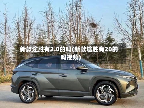 新款途胜有2.0的吗(新款途胜有20的吗视频)