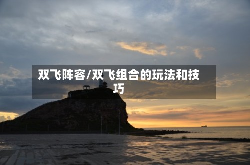 双飞阵容/双飞组合的玩法和技巧