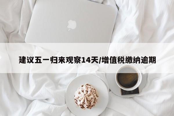 建议五一归来观察14天/增值税缴纳逾期