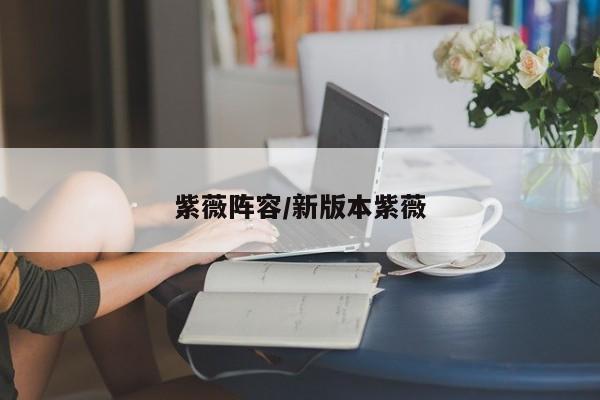 紫薇阵容/新版本紫薇