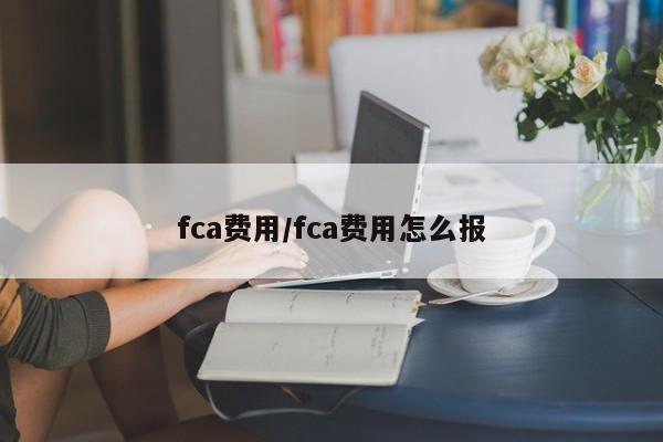 fca费用/fca费用怎么报