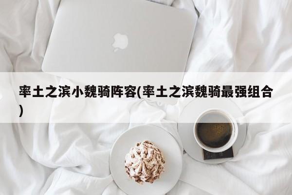 率土之滨小魏骑阵容(率土之滨魏骑最强组合)