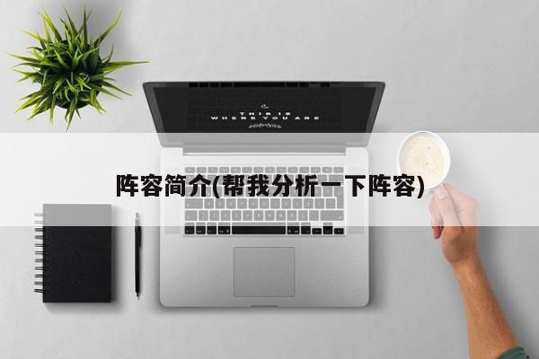 阵容简介(帮我分析一下阵容)