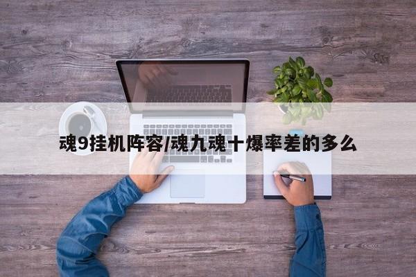 魂9挂机阵容/魂九魂十爆率差的多么