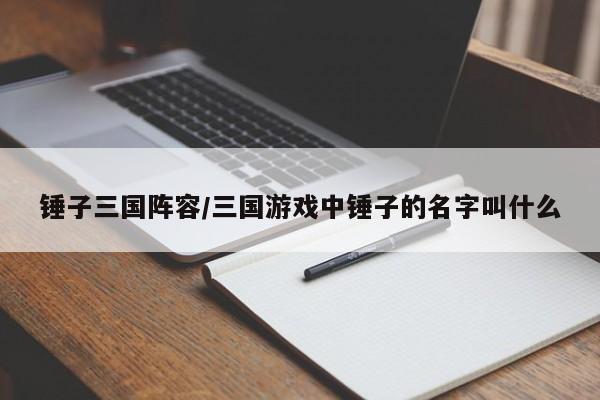 锤子三国阵容/三国游戏中锤子的名字叫什么