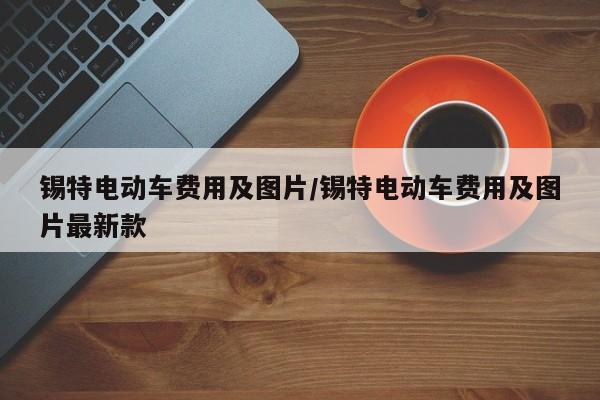 锡特电动车费用及图片/锡特电动车费用及图片最新款