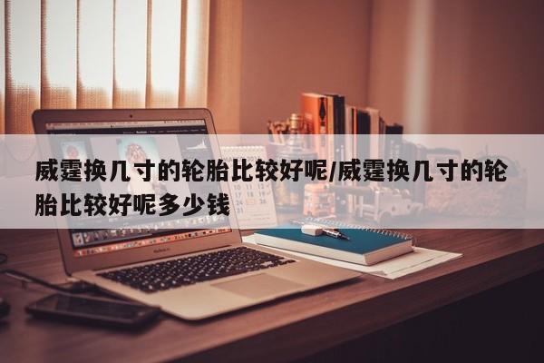 威霆换几寸的轮胎比较好呢/威霆换几寸的轮胎比较好呢多少钱