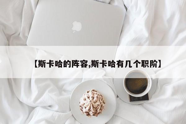 【斯卡哈的阵容,斯卡哈有几个职阶】