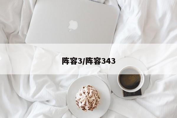 阵容3/阵容343